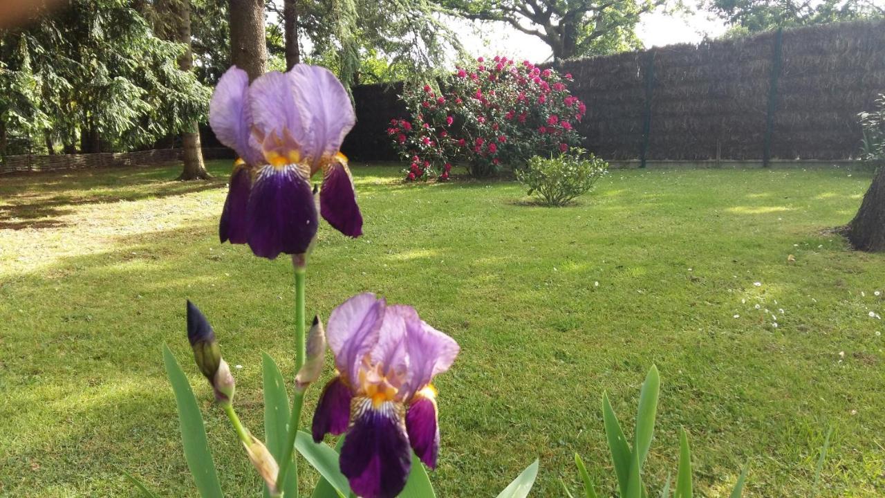 Maison avec jardin arboré Villa Guérande Esterno foto